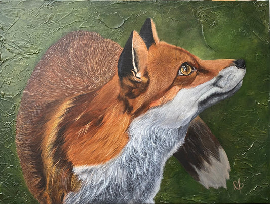 Hopeful Fox